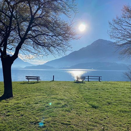 Casa Carmen Apartment Lake Como Dongo Eksteriør billede